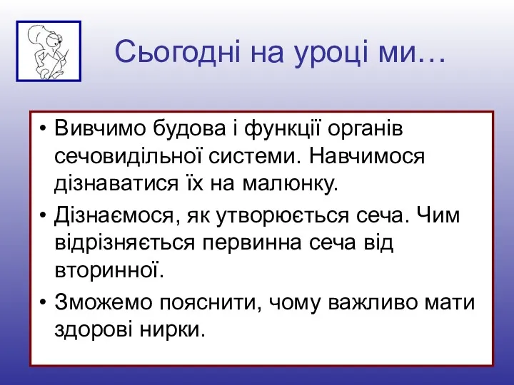 Сьогодні на уроці ми… Вивчимо будова і функції органів сечовидільної