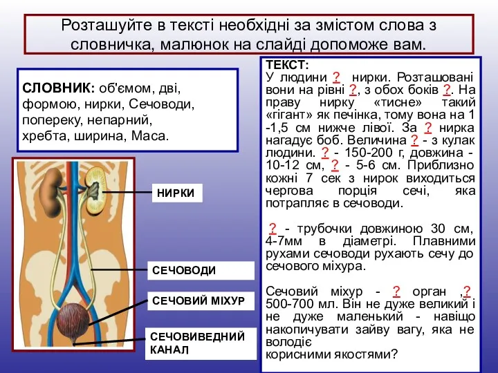 Розташуйте в тексті необхідні за змістом слова з словничка, малюнок