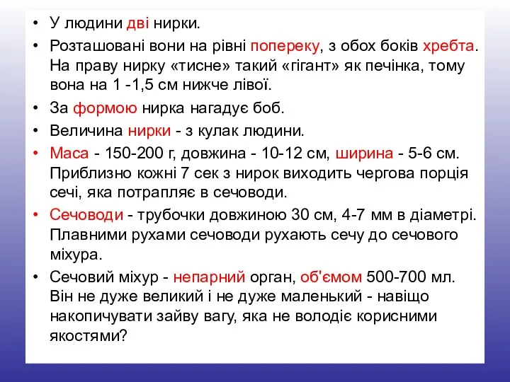 У людини дві нирки. Розташовані вони на рівні попереку, з