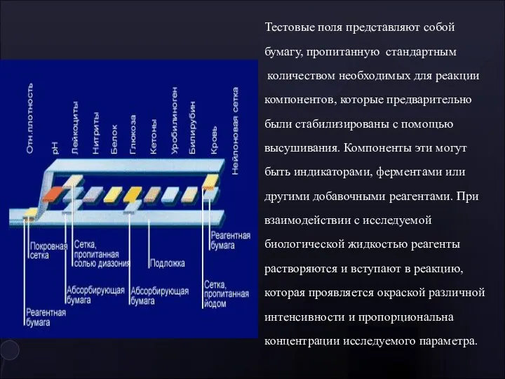 Тестовые поля представляют собой бумагу, пропитанную стандартным количеством необходимых для