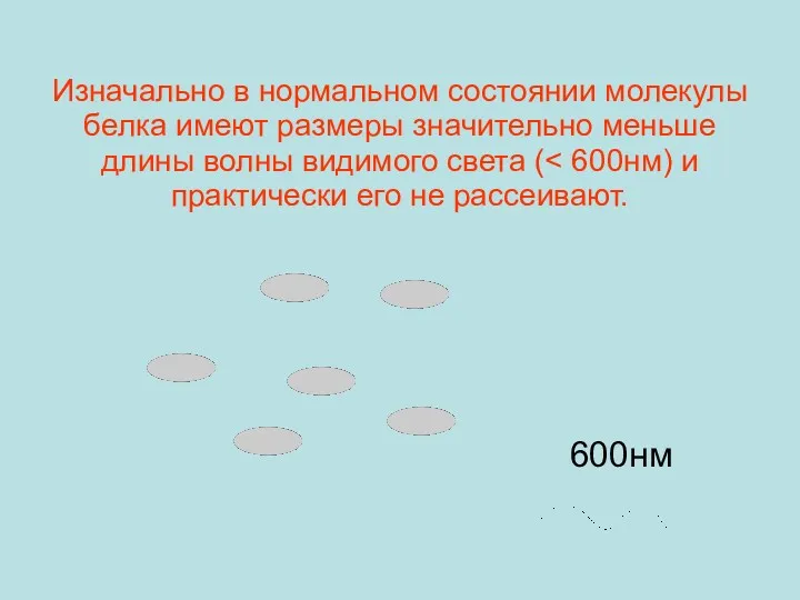 Изначально в нормальном состоянии молекулы белка имеют размеры значительно меньше длины волны видимого света ( 600нм