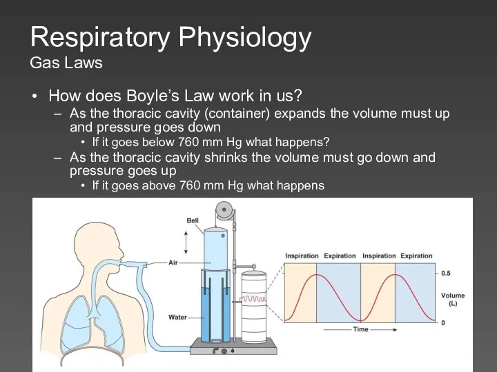 Respiratory Physiology Gas Laws How does Boyle’s Law work in