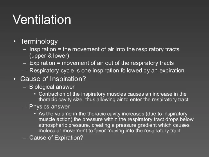 Ventilation Terminology Inspiration = the movement of air into the