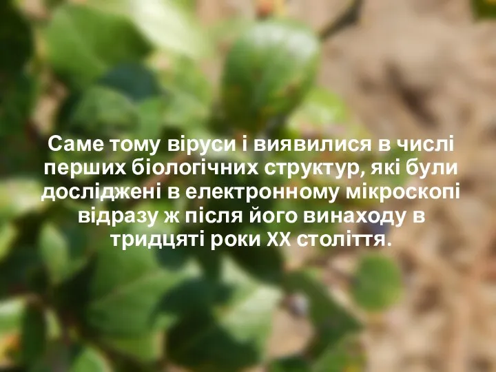 Саме тому віруси і виявилися в числі перших біологічних структур,