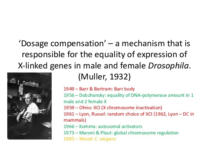 ‘Dosage compensation’ – a mechanism that is responsible for the