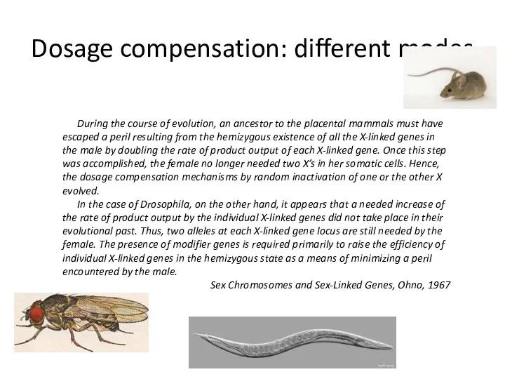 Dosage compensation: different modes During the course of evolution, an