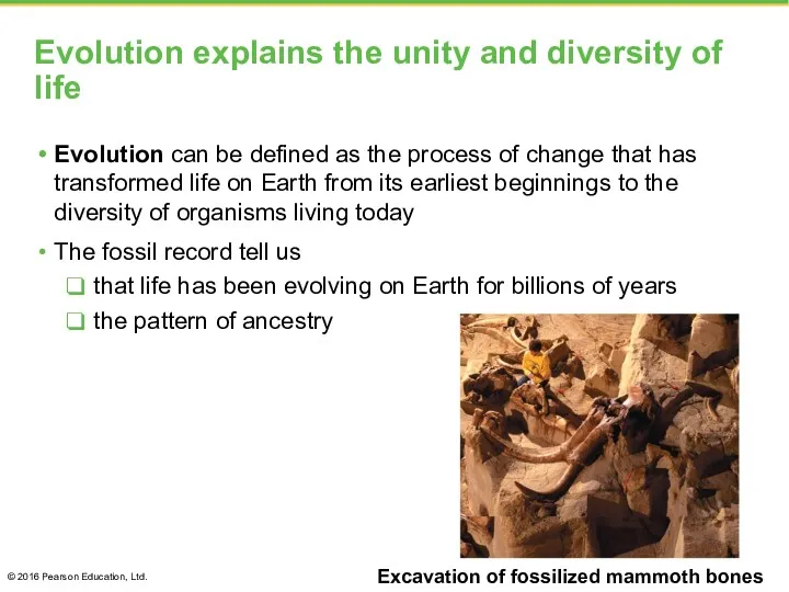 Evolution explains the unity and diversity of life Evolution can