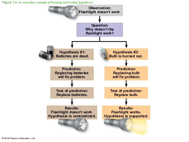 Figure 1.8 An everyday example of forming and testing hypotheses