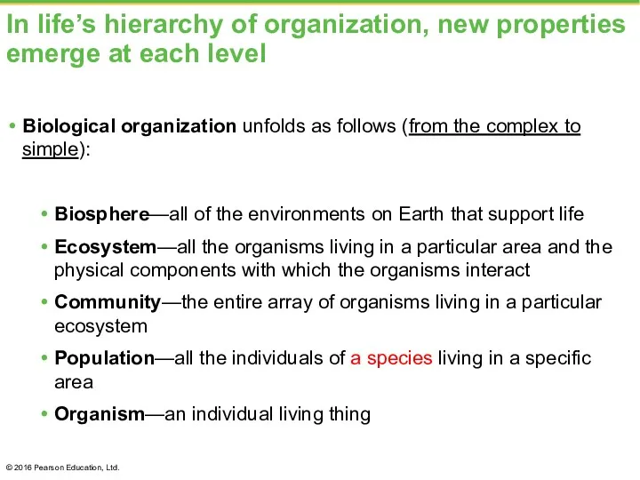 In life’s hierarchy of organization, new properties emerge at each