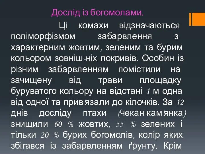 Дослід із богомолами. Ці комахи відзначаються поліморфізмом забарвлення з характерним