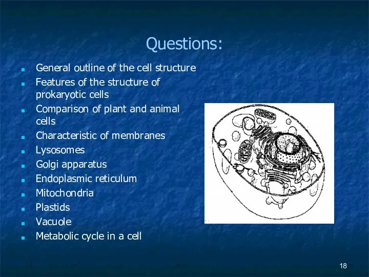 Questions: General outline of the cell structure Features of the