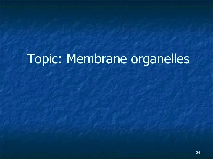 Topic: Membrane organelles