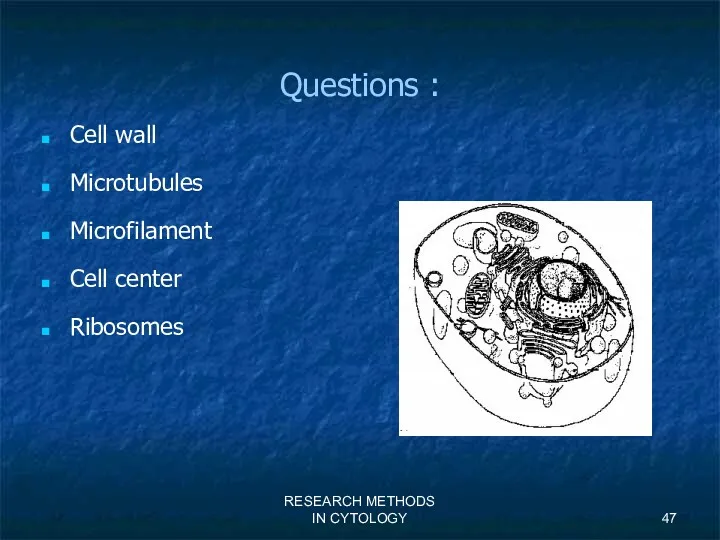 RESEARCH METHODS IN CYTOLOGY Questions : Cell wall Microtubules Microfilament Cell center Ribosomes