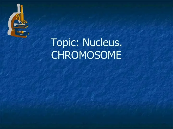 Topic: Nucleus. CHROMOSOME