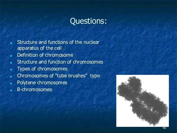 Questions: Structure and functions of the nuclear apparatus of the