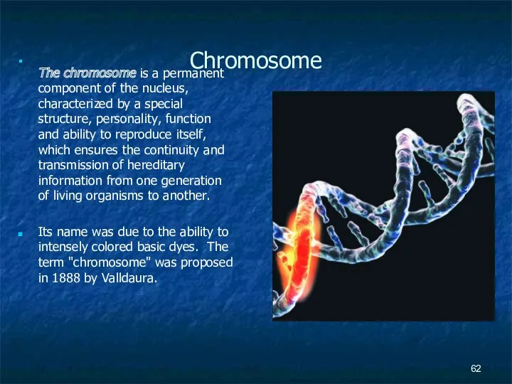 Chromosome The chromosome is a permanent component of the nucleus,