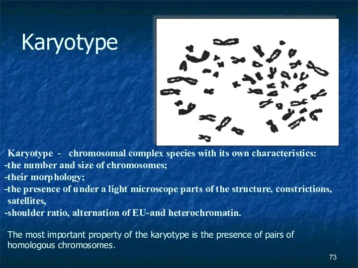 Karyotype Karyotype - chromosomal complex species with its own characteristics: