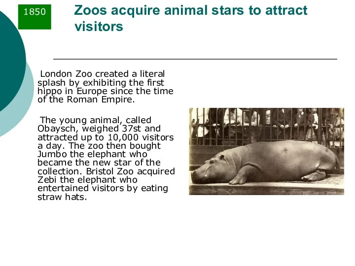 Zoos acquire animal stars to attract visitors London Zoo created