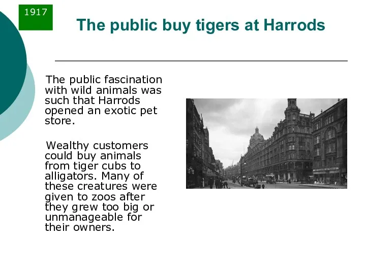 The public buy tigers at Harrods The public fascination with