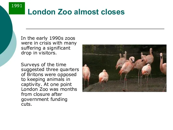 London Zoo almost closes In the early 1990s zoos were