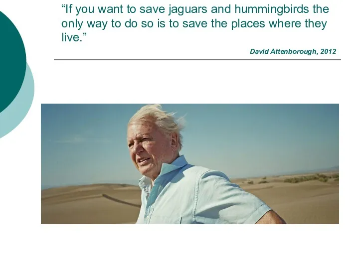 “If you want to save jaguars and hummingbirds the only