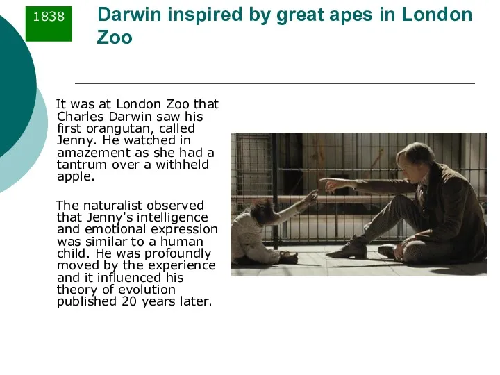 Darwin inspired by great apes in London Zoo It was