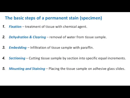 The basic steps of a permanent stain (specimen) Fixation –