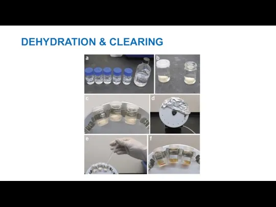 DEHYDRATION & CLEARING