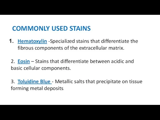 COMMONLY USED STAINS Hematoxylin -Specialized stains that differentiate the fibrous