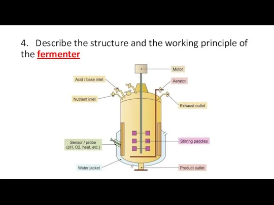 4. Describe the structure and the working principle of the fermenter