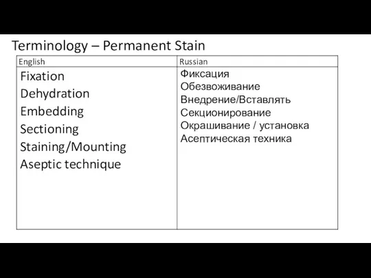 Terminology – Permanent Stain