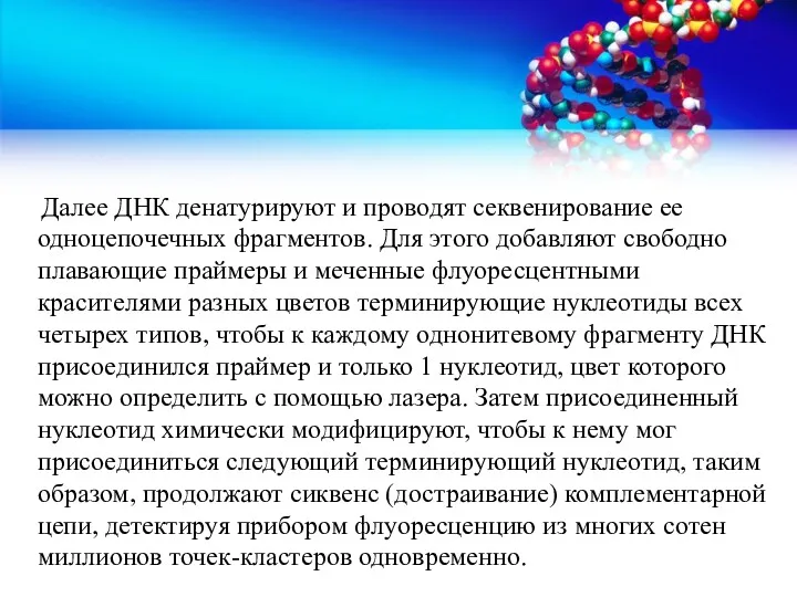 Далее ДНК денатурируют и проводят секвенирование ее одноцепочечных фрагментов. Для