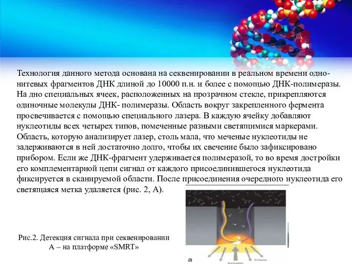 Технология данного метода основана на секвенировании в реальном времени одно-