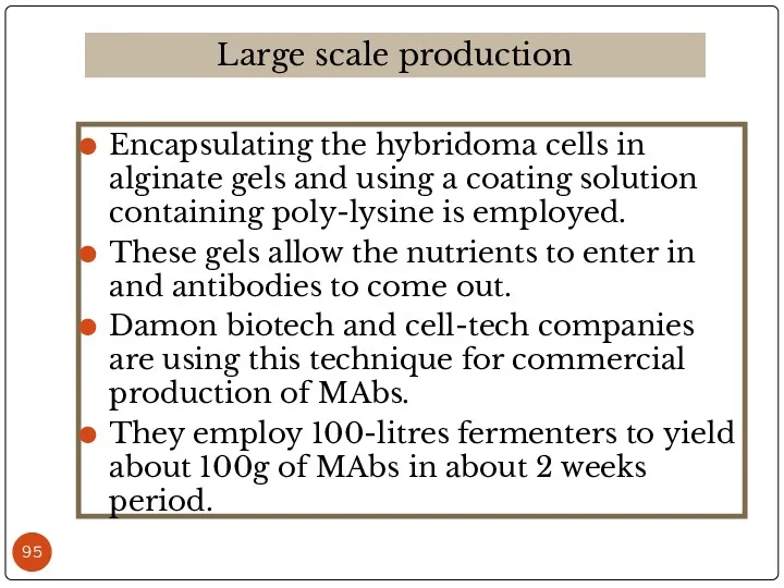 Encapsulating the hybridoma cells in alginate gels and using a