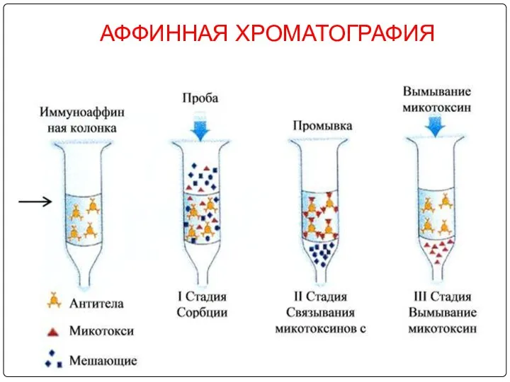 АФФИННАЯ ХРОМАТОГРАФИЯ