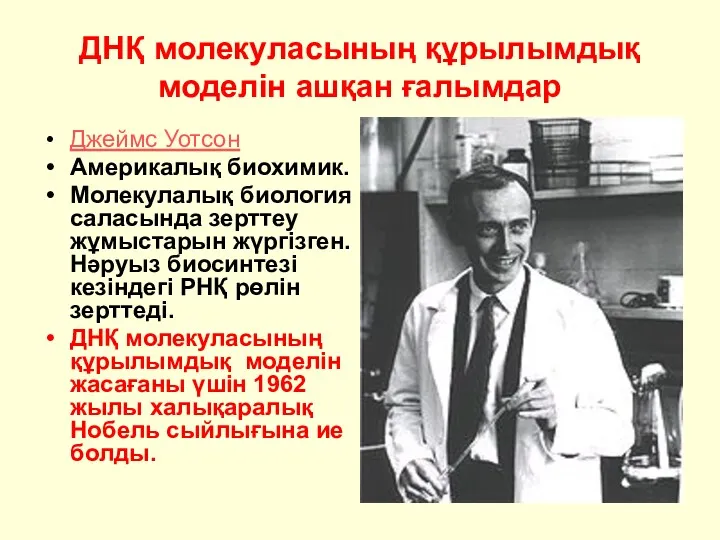 ДНҚ молекуласының құрылымдық моделін ашқан ғалымдар Джеймс Уотсон Америкалық биохимик.