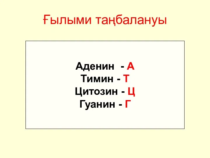 Ғылыми таңбалануы Аденин - А Тимин - Т Цитозин - Ц Гуанин - Г