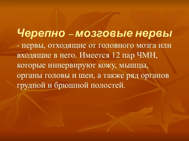 Черепно – мозговые нервы - нервы, отходящие от головного мозга