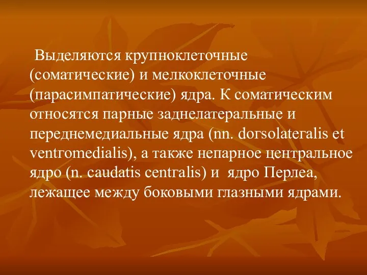 Выделяются крупноклеточные (соматические) и мелкоклеточные (парасимпатические) ядра. К соматическим относятся