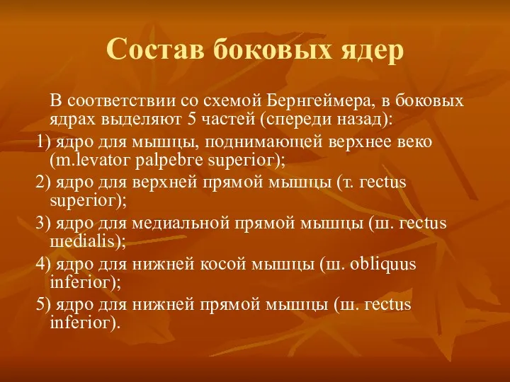 Состав боковых ядер В соответствии со схемой Бернгеймера, в боковых