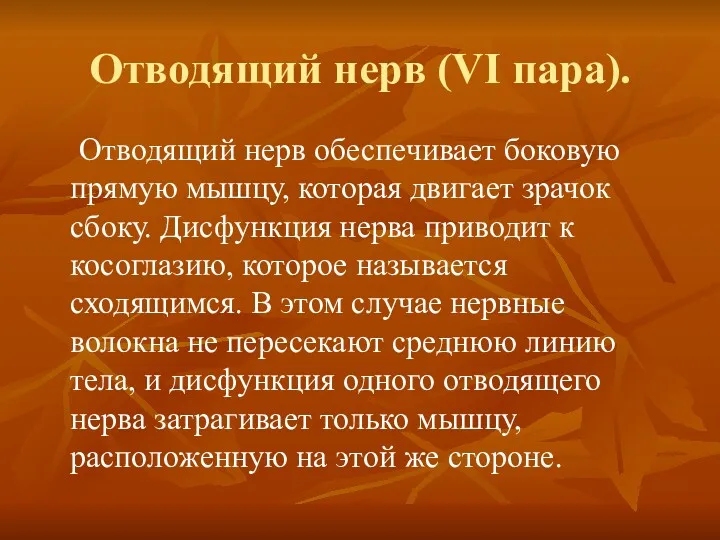 Отводящий нерв (VI пара). Отводящий нерв обеспечивает боковую прямую мышцу,