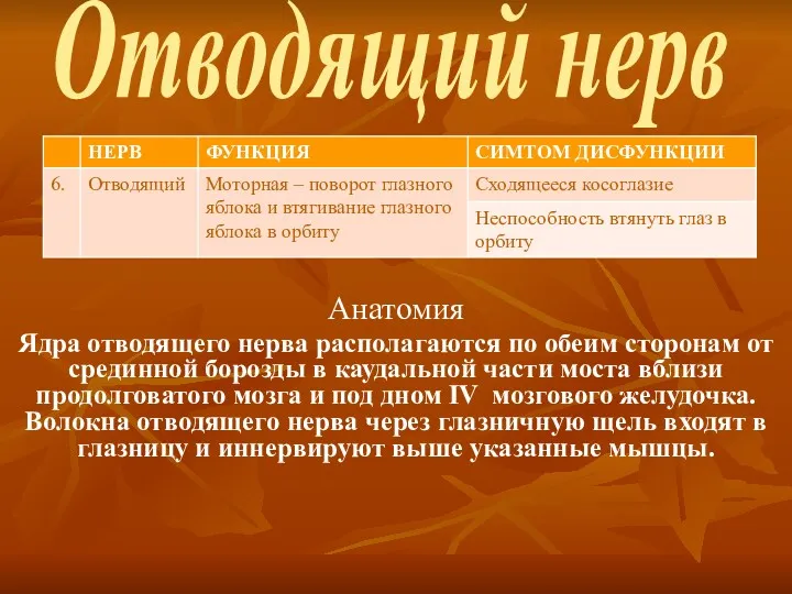 Отводящий нерв Анатомия Ядра отводящего нерва располагаются по обеим сторонам