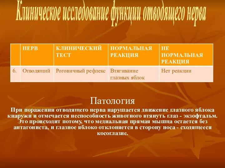 Клиническое исследование функции отводящего нерва Патология При поражении отводящего нерва