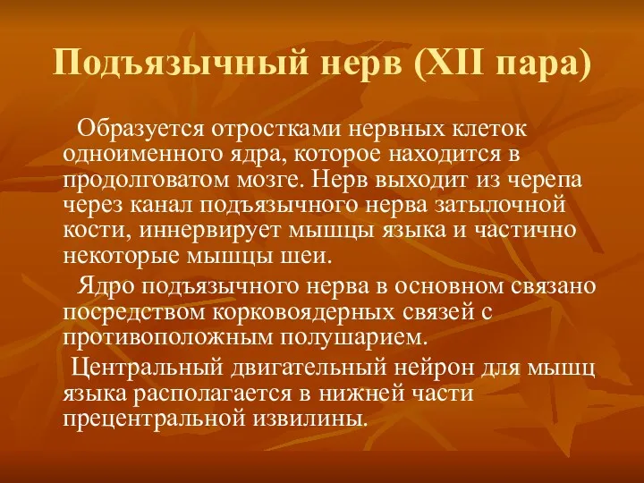 Подъязычный нерв (XII пара) Образуется отростками нервных клеток одноименного ядра,