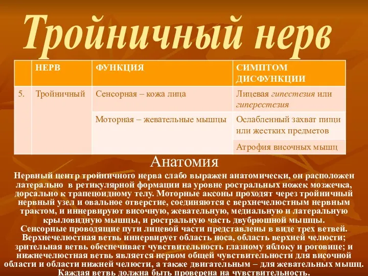 Тройничный нерв Анатомия Нервный центр тройничного нерва слабо выражен анатомически,