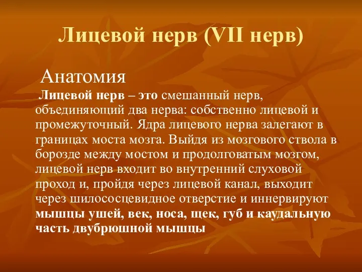 Лицевой нерв (VII нерв) Анатомия Лицевой нерв – это смешанный