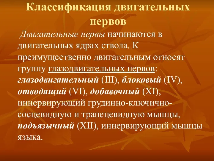 Классификация двигательных нервов Двигательные нервы начинаются в двигательных ядрах ствола.