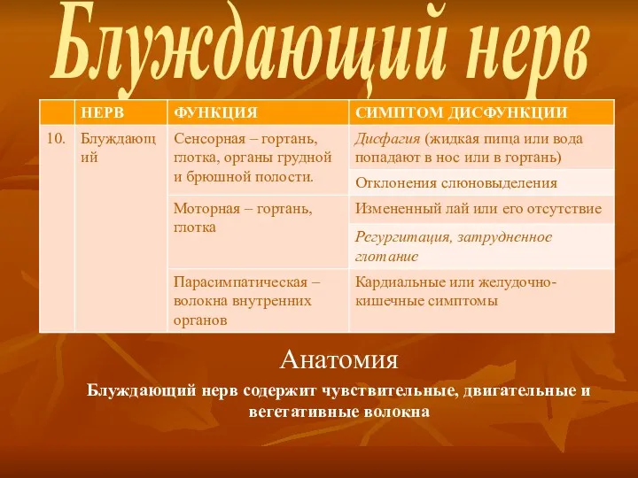 Блуждающий нерв Анатомия Блуждающий нерв содержит чувствительные, двигательные и вегетативные волокна