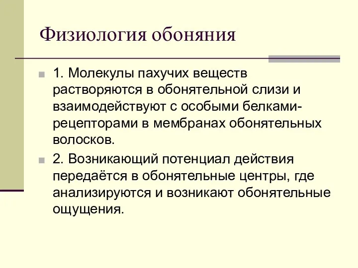 Физиология обоняния 1. Молекулы пахучих веществ растворяются в обонятельной слизи