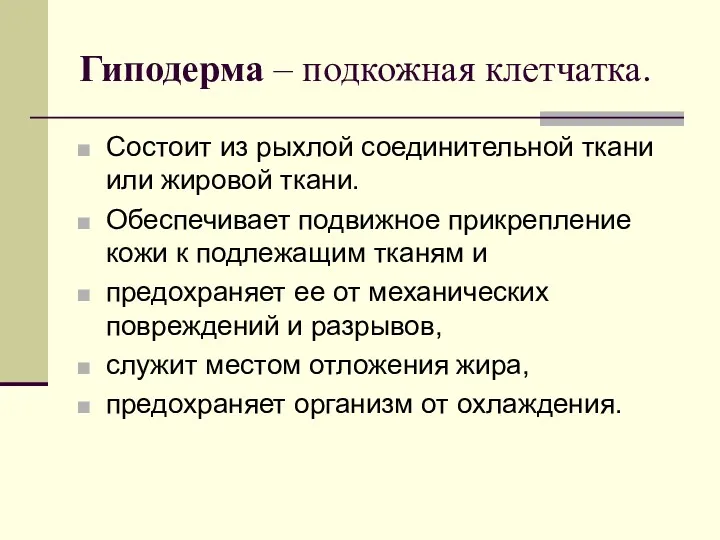 Гиподерма – подкожная клетчатка. Состоит из рыхлой соединительной ткани или